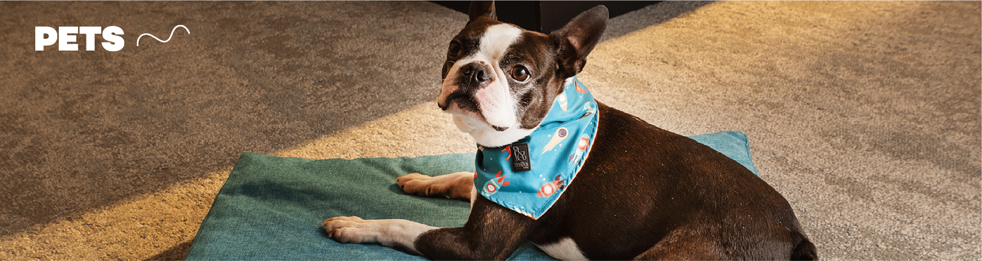 PETS — colección para mascotas